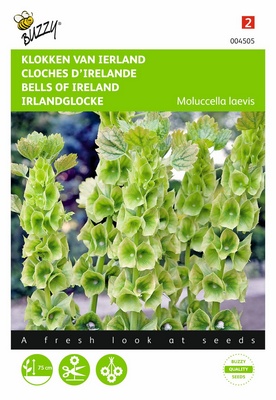 Molluchella Cloches d'Irlande (Semences)