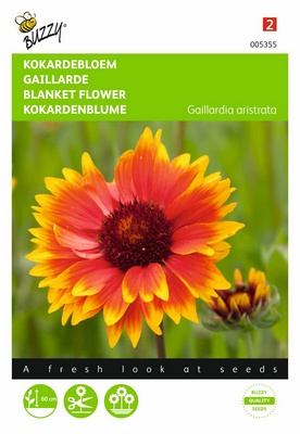 Gaillarde aristata (Semences)