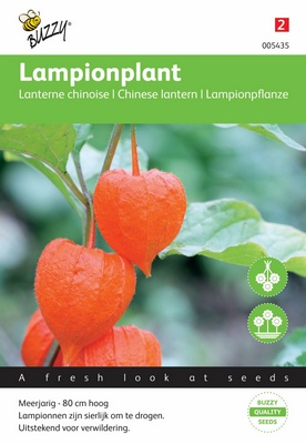 Lanterne Chinoise (Semences)
