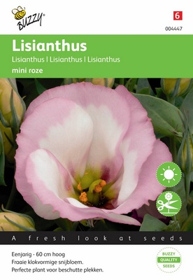 Lisianthus Mini (Semences)