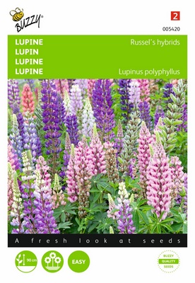 Lupin hybride de Russel (Semences)