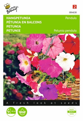 Petunia en Balcons Pendula (Semences)