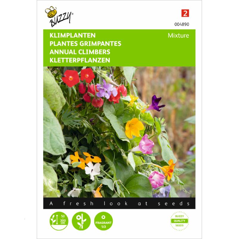 Plantes grimpantes (Semences)