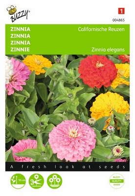 Zinnia Géant de Californie (Semences)