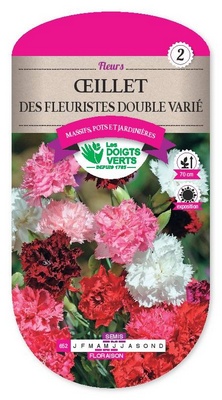 Oeillet des Fleuristes double (Semences)