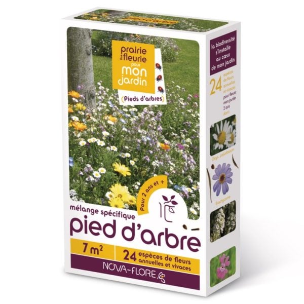 Prairie fleurie Spécifiques - Pied d'arbre (Semences)