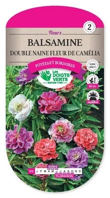[D516] Balsamine double naine Fleur de Camélia - 1,5 g
