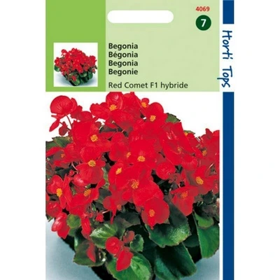 [H4069] Begonia Red Comet F1 - 700 graines
