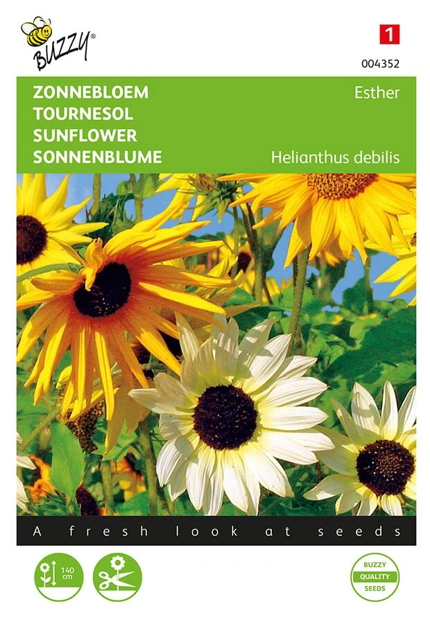 [B4352] Soleil-Tournesol Esther - 1 g