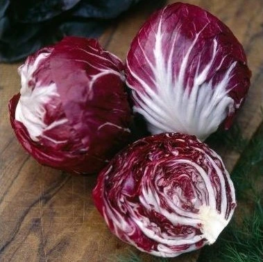 Chicorée italienne rouge de Vérone - 4 g