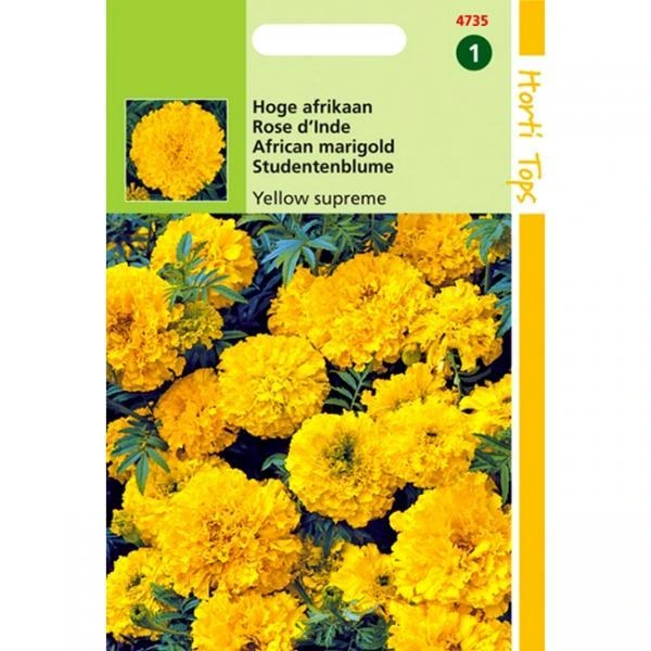 [H4735] Rose d'Inde Yellow supreme - 1 g