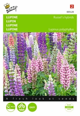 [B5420] Lupin hybride de Russel - 2 g