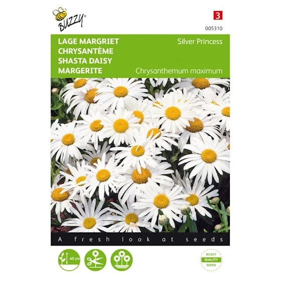 Marguerite des Prés Petite Princesse d'Argent -