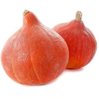 Potimarron Uchiki Kuri - 10 graines