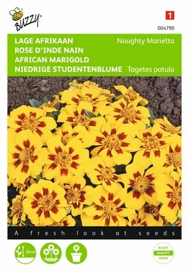 Rose d'Inde naine Naughty Marietta - 1 g