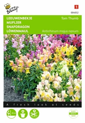 [B4052] Muflier Tom Thumb - 0,5 g