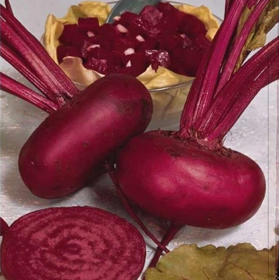 [S07070] Betterave rouge plate d'Egypte - 8 g