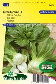 [R0225] Chou Pak Soi Green Fortune F1 - 150 graines