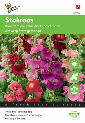 [B5002] Rose Trémière Antwerp Stars - 0,5 g