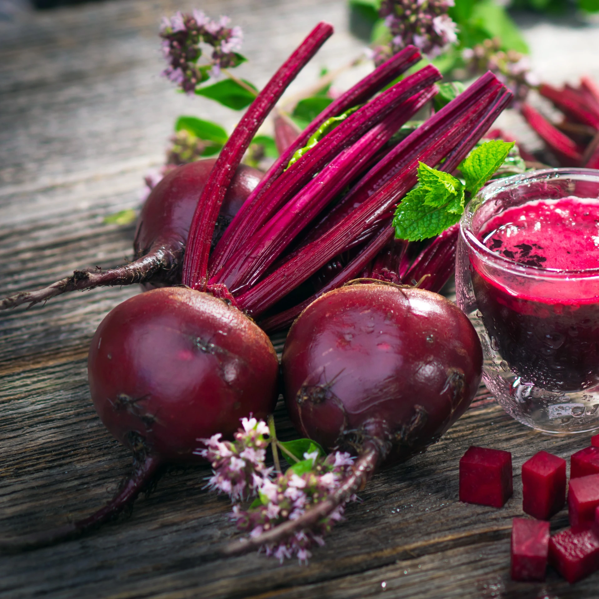 [S07045] Betterave Détroit 5, Loki - 5 g