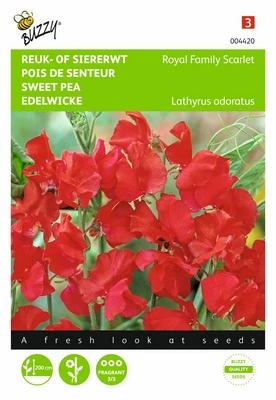 [B4420] Pois de Senteur Royal Family Scarlet - 4 g