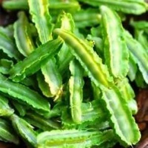 Pois Asperge Lotier pourpre - Tétragonolobe - 3 g