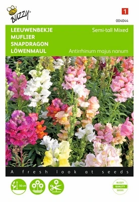 [B4044] Muflier Demi-nain - 0,5 g
