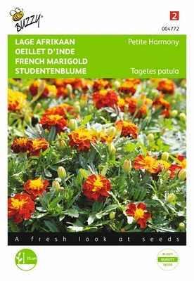 [B4772] Oeillet d'Inde Petite Harmony - 1 g