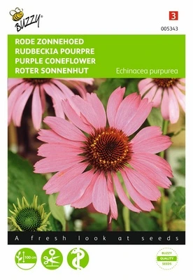 [B5343] Rudbeckia Pourpre - 0,5 g