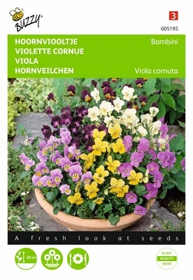 [B5195] Violette Cornue Bambini - 0,4 g