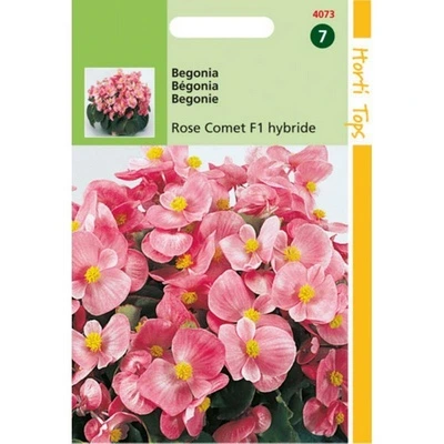 [H4073] Begonia Rose Comet F1 - 700 graines