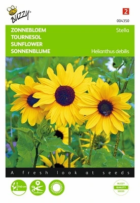 [B4350] Soleil-Tournesol Stella - 1 g