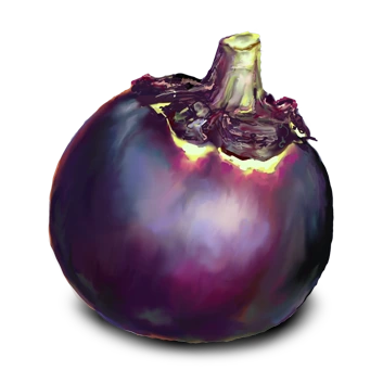 Aubergine Kamo - 15 graines