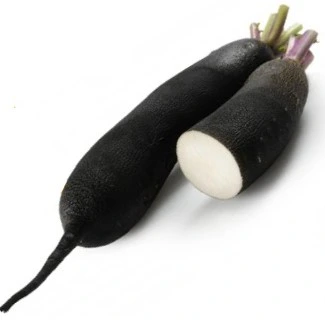 Radis d'hiver Ramonasse - 10 g