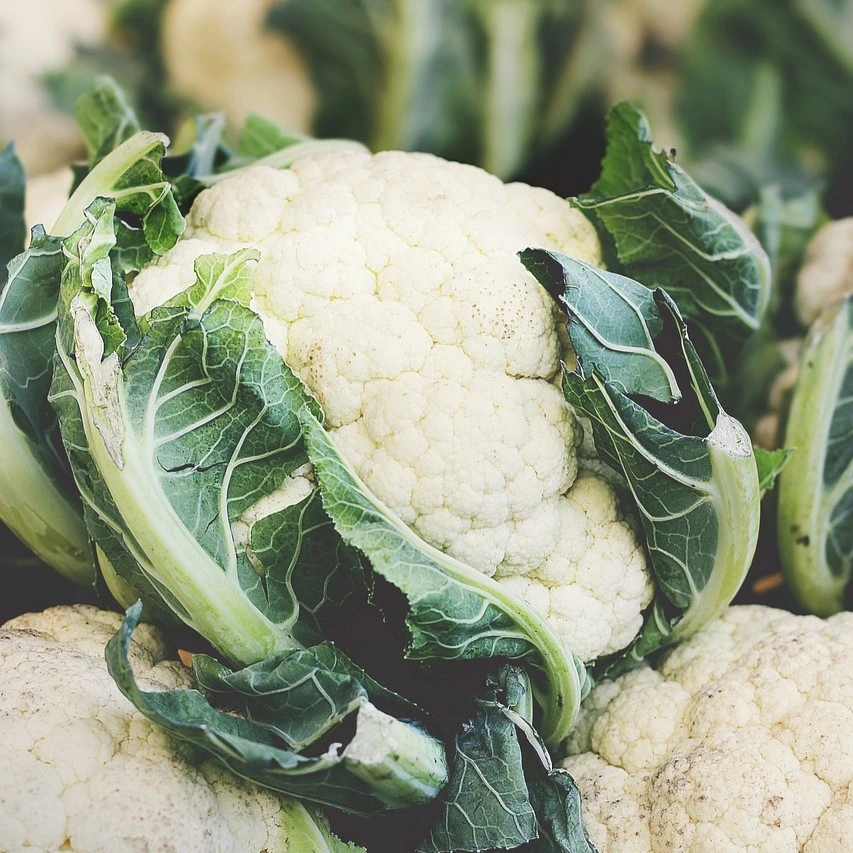 [S26030] Chou fleur Amazing - 50 graines