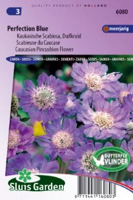[R6080] Scabiosa caucasica Perfection Blue - 45 graines