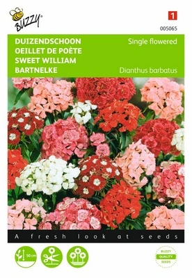 [B5065] Oeillet de Poète simple - 1 g