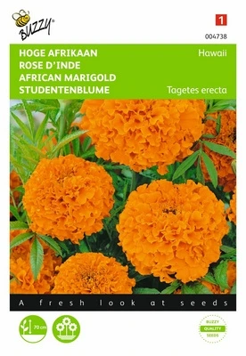 [B4738] Rose d'Inde Hawaii - 1 g