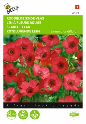 [B4445] Lin à grandes fleurs rouge - 1,5 g
