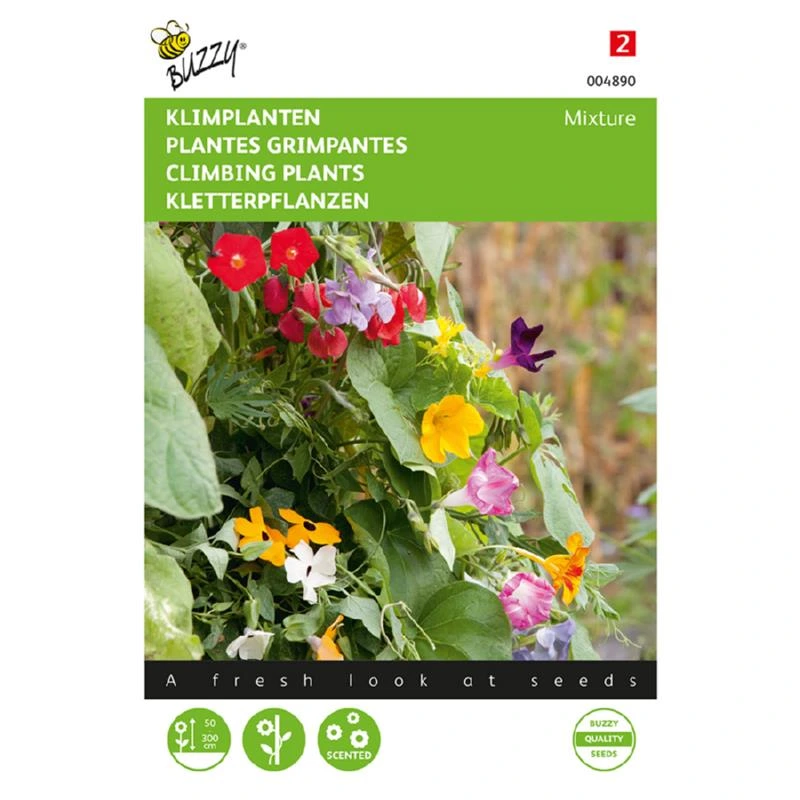 [B4890] Plantes grimpantes - 4 g