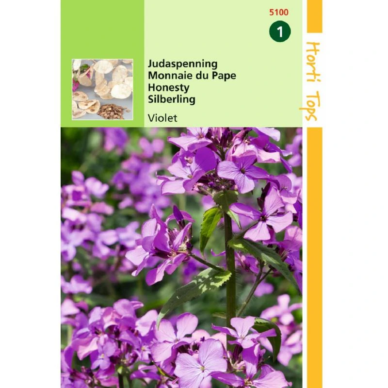 Monnaie du Pape - 1 g