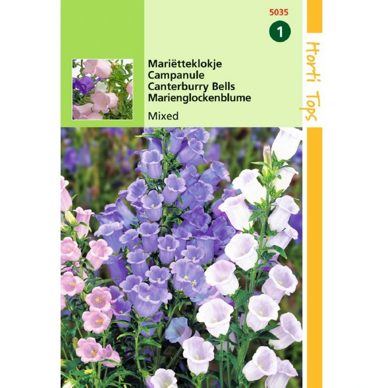 [H5035] Campanule à fleur simple mix - 0,25 g