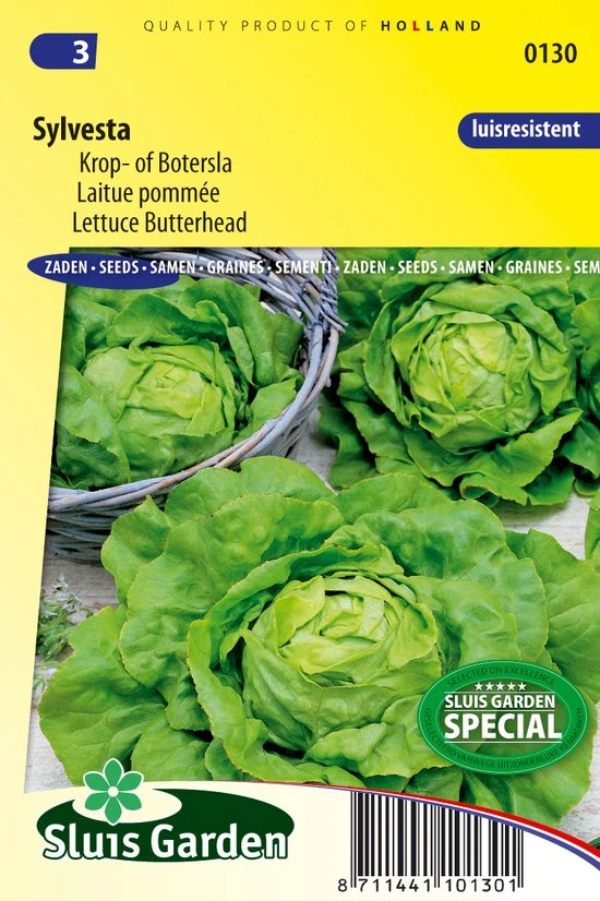 [R0130] Laitue pommée Sylvesta - 100 graines