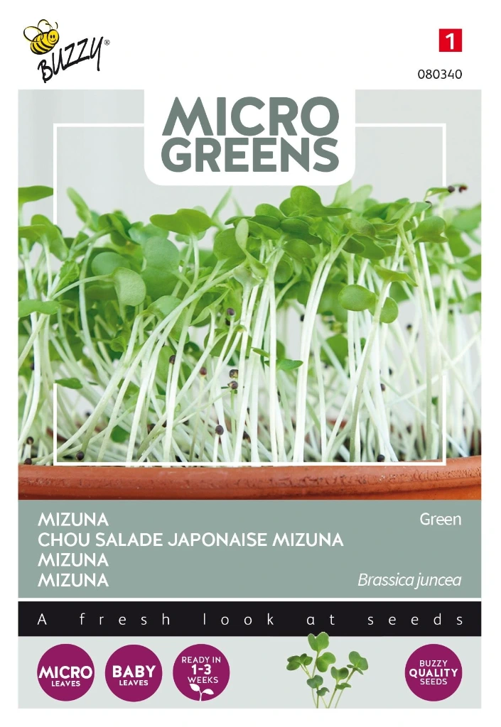Graines à germer Mizuna japonaise - 1 g