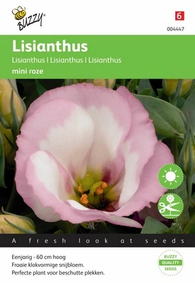 [B4447] Lisianthus Mini - 25 graines