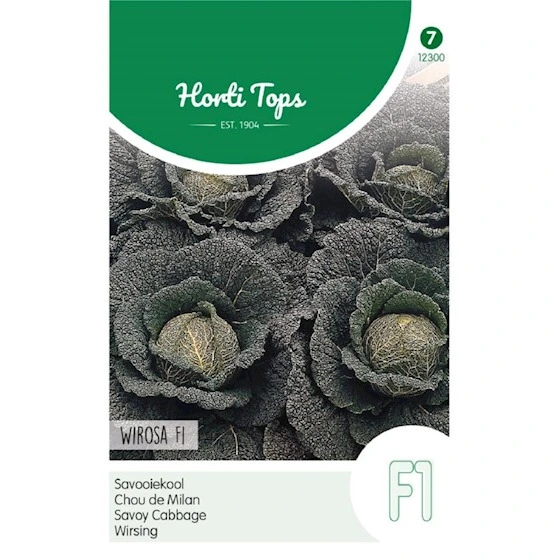 [H2300] Chou de Milan Wirosa F1 - 100 graines