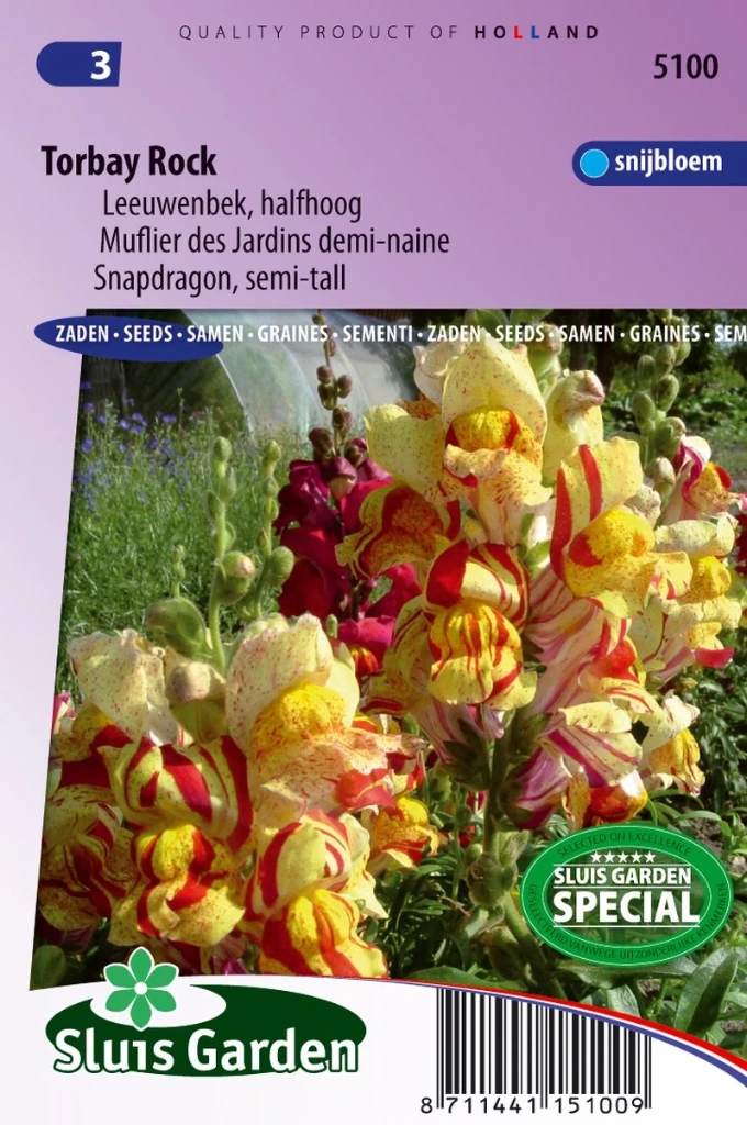 [R5100] Muflier Torbay Rock - 0,15 g - ca.1200