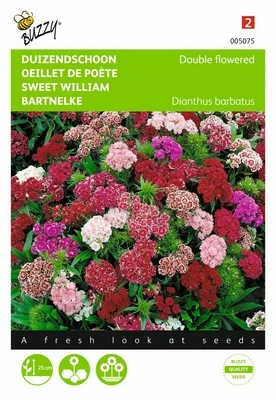 Oeillet de Poète à fleur double - 0,5 g