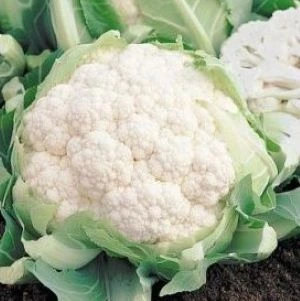 [S26530] Chou fleur Brocoli blanc Walcheren Winter - 100 graines