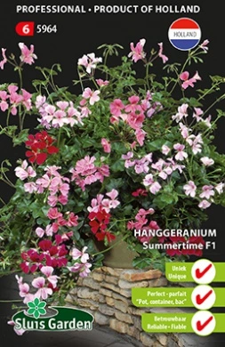 [R5964] Géranium lierre Summertime F1 - 8 graines